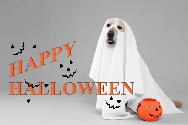 Happy Halloween from Answer Home Lending